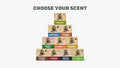 Bar Soap 10-Pack - Fresh Vibes Start Here