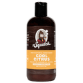 Conditioner Subscription - 2 Bottles - Wash Away the Funk