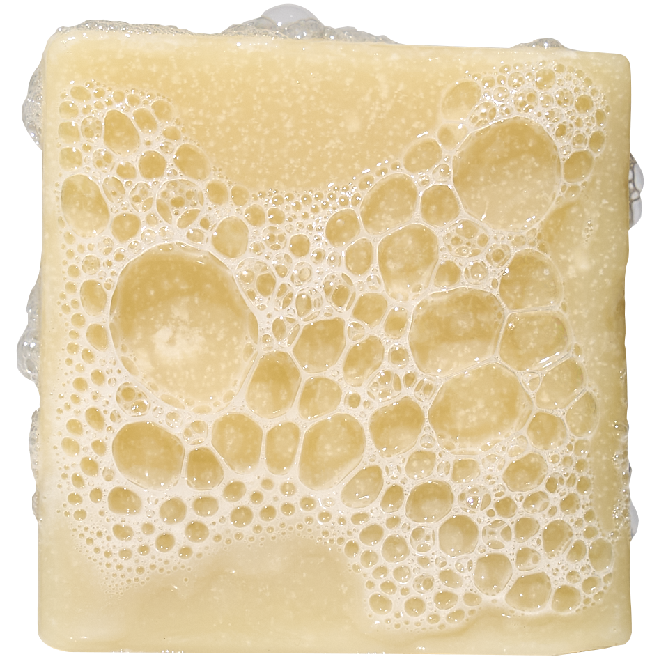 Bay Rum Mini - Fresh Scents That Hit Right