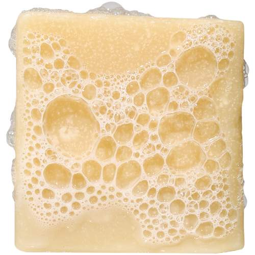 Bay Rum Mini - Fresh Scents That Hit Right
