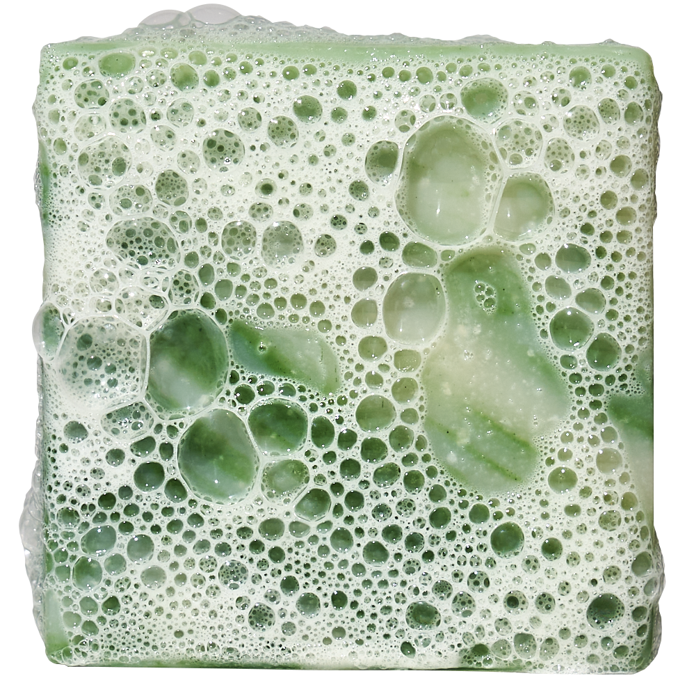 Cool Fresh Aloe Mini - Your New Shower Staple