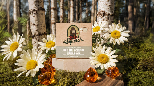 Birchwood Breeze - Enter the No Boring Soap Zone