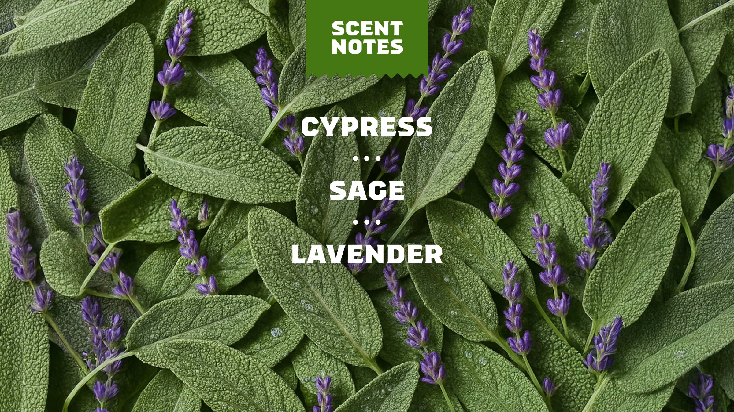 Alpine Sage Deodorant - Bring on the Fresh