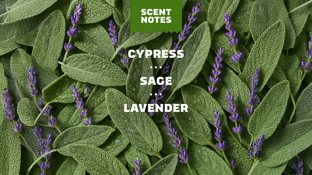 Alpine Sage - Make Your Wash Worth It