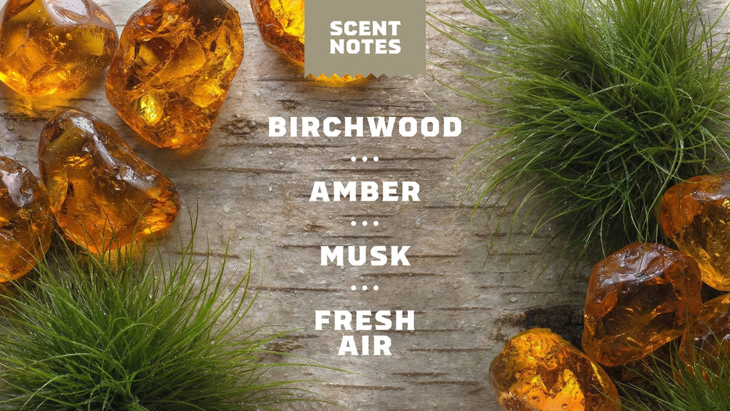 Birchwood Breeze Invisible Glide Deodorant - Make Mornings Smell Better