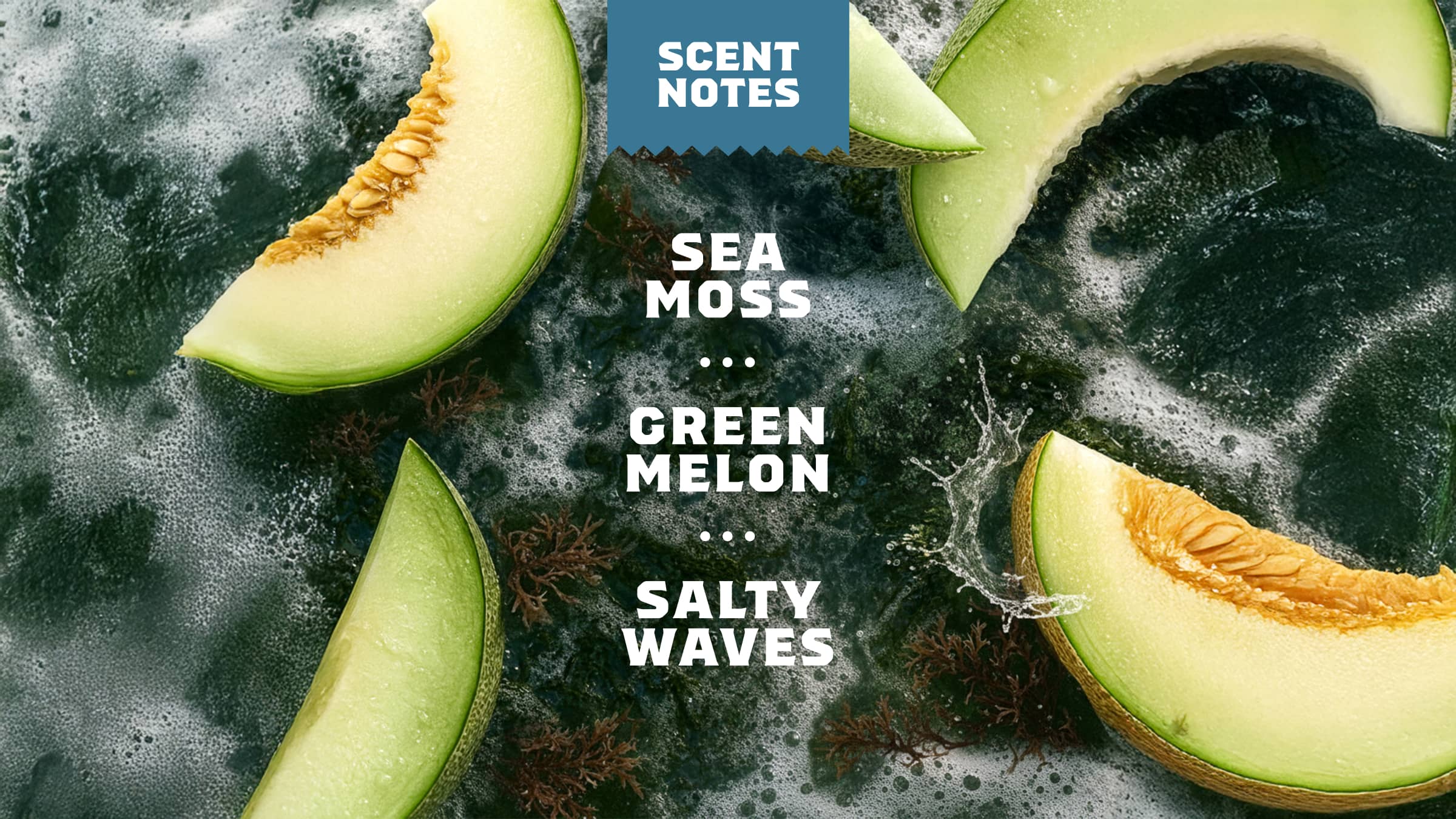 Coastal Mist Spray Deodorant - Smell Good and Feel Ready
