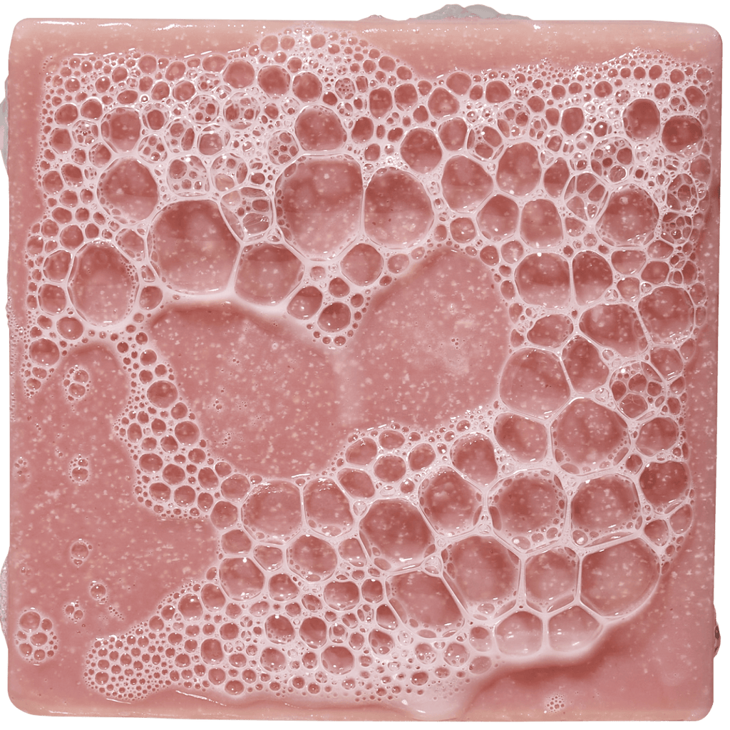 Sea Star Shenanigans - Clean Scent With Strong Vibes