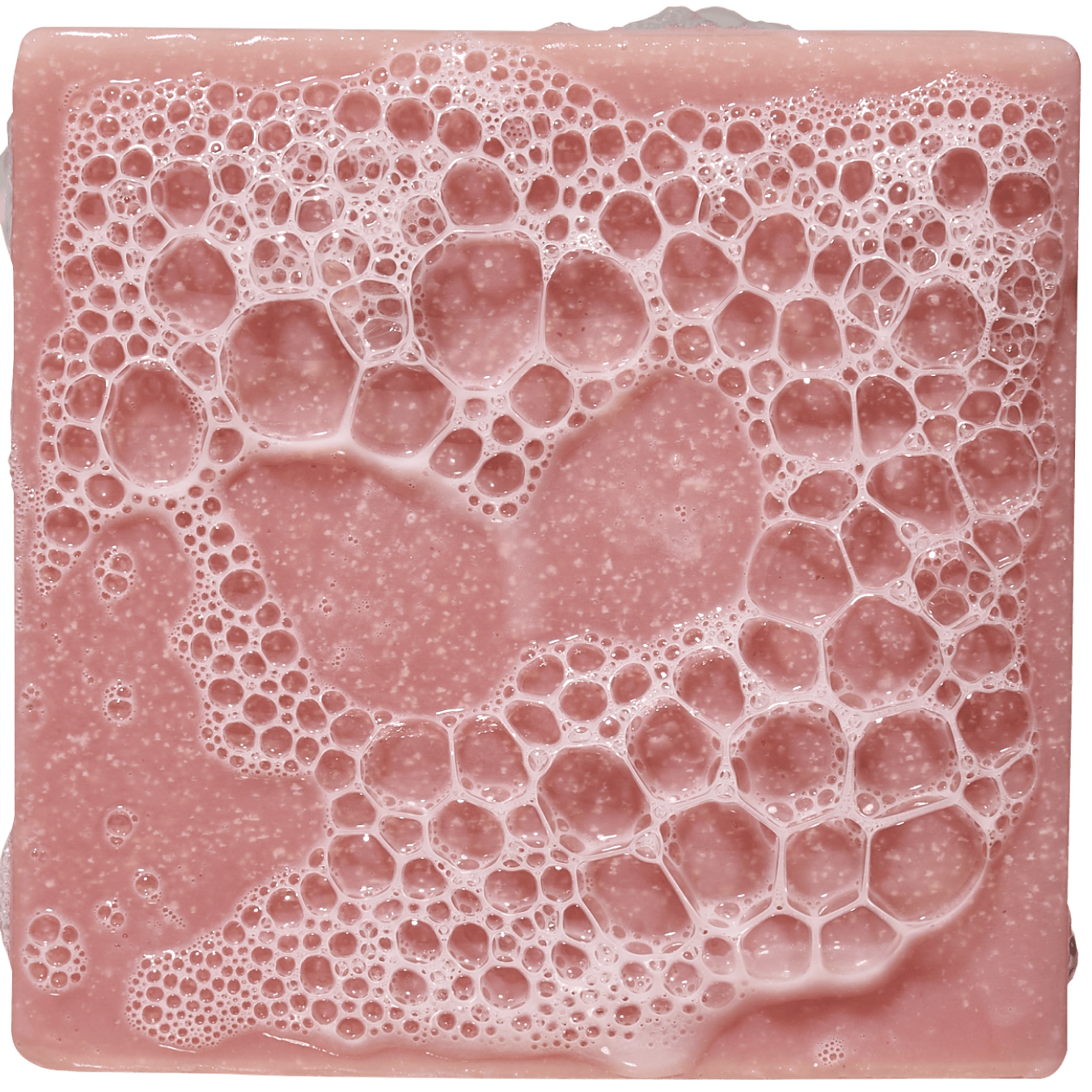 Sea Star Shenanigans - Clean Scent With Strong Vibes