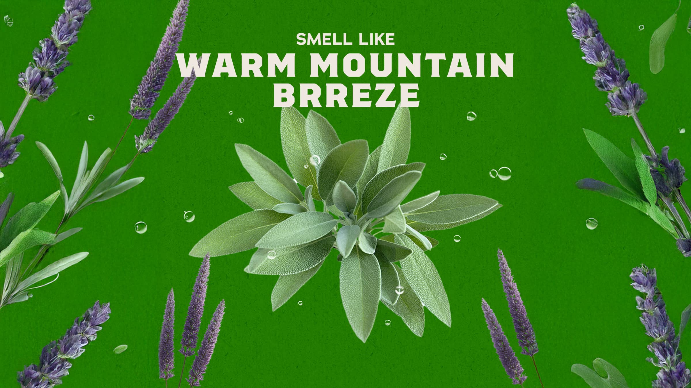 Alpine Sage Deodorant - Bring on the Fresh
