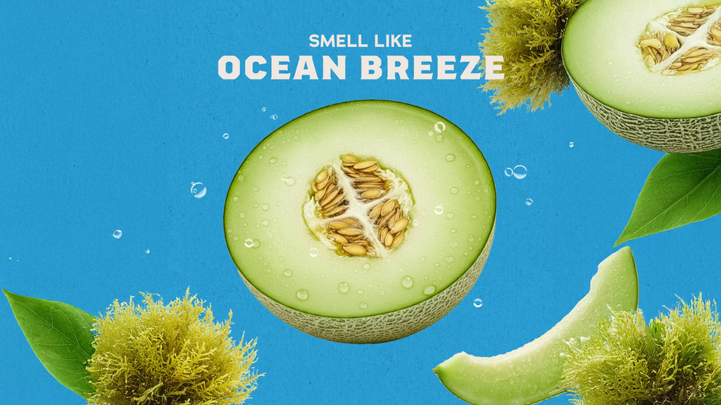 Coastal Mist Deodorant - Built for Sweat and Grime