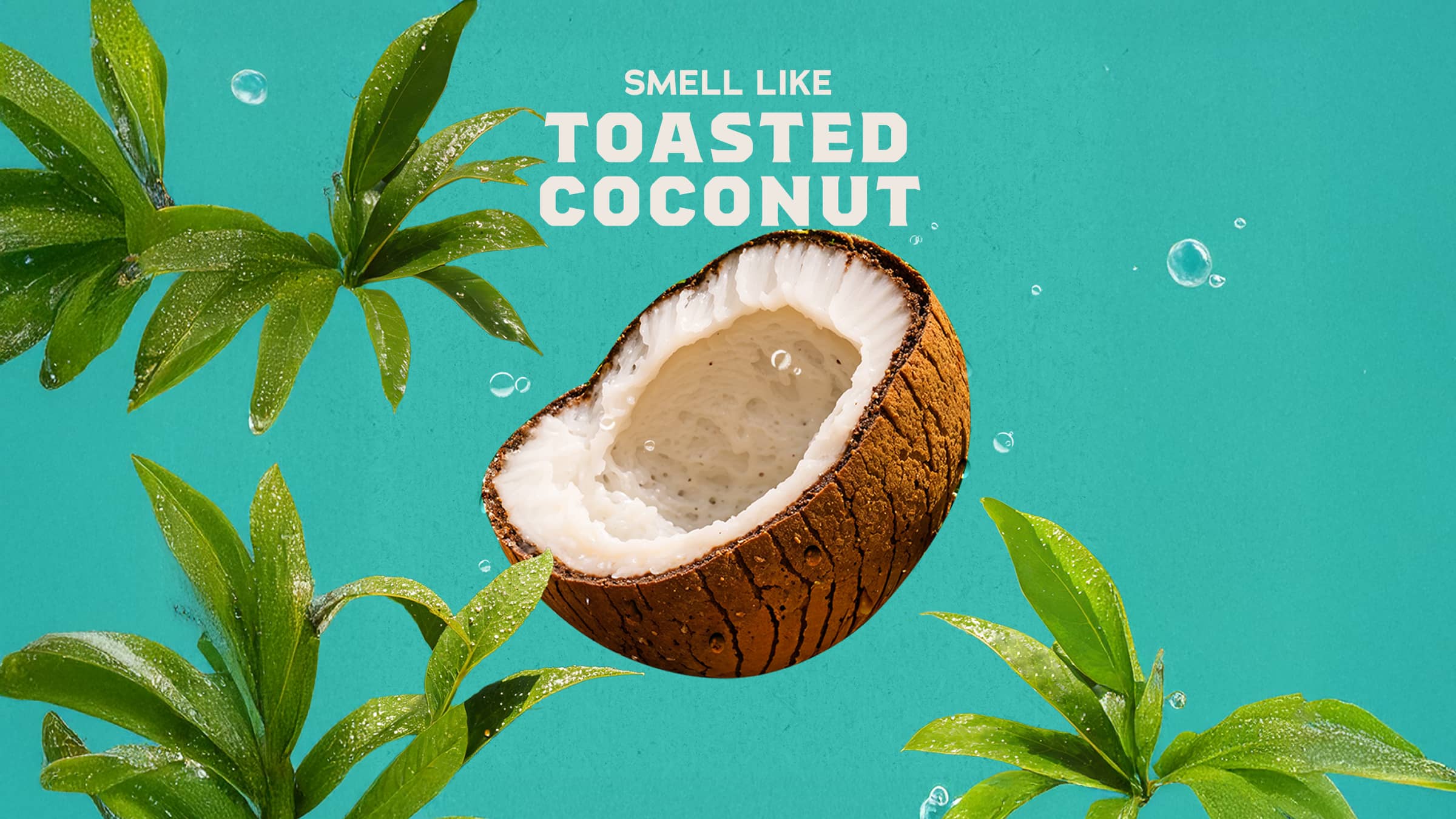 Coconut Castaway Lotion - Soap With a Fresh Kick