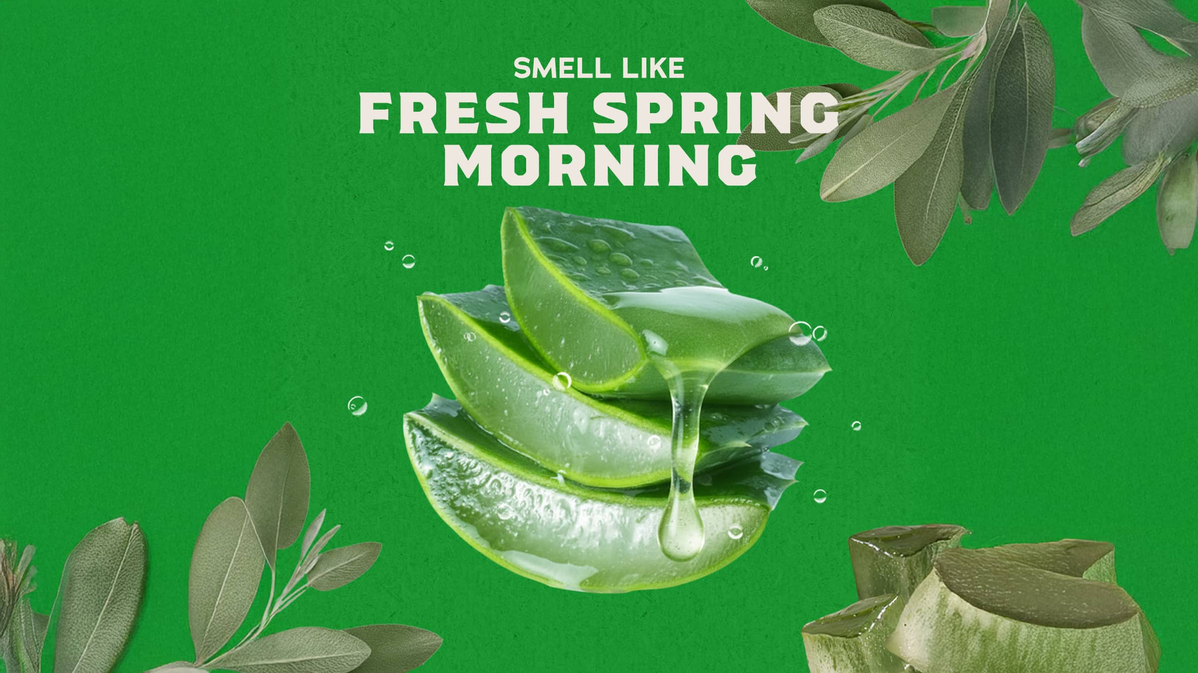 Cool Fresh Aloe Shampoo - Your Daily Fresh Reset