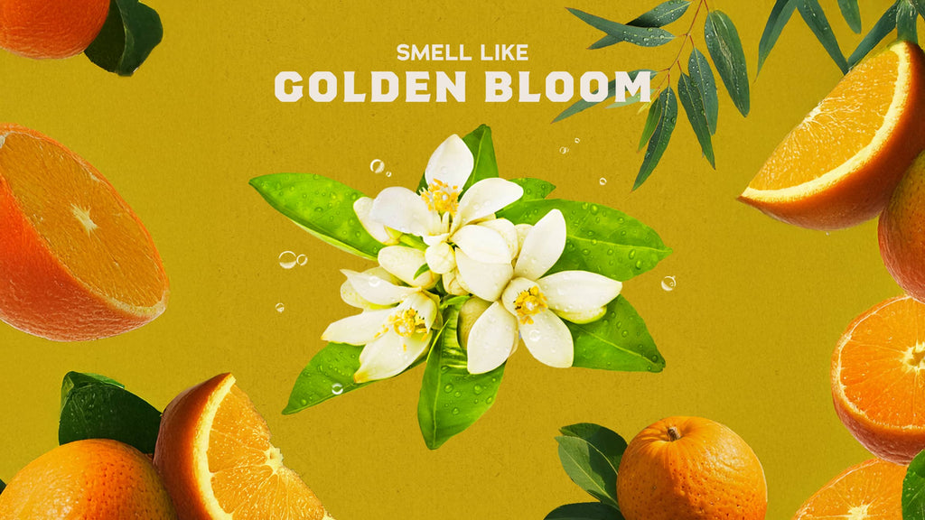 Mountain Meadow - Clean Up and Feel Ready