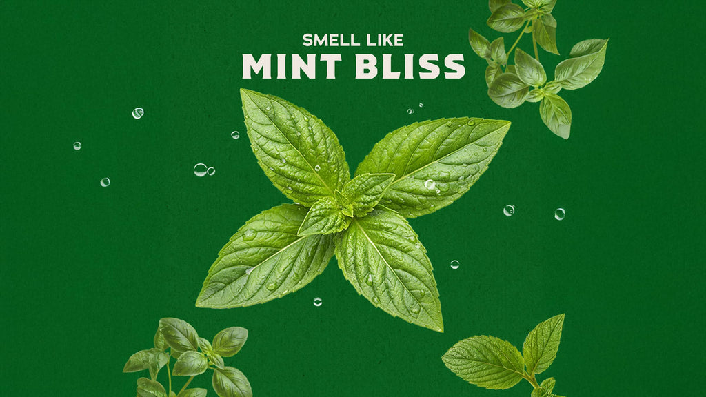 Spearmint Basil - Bring Clean Energy Back