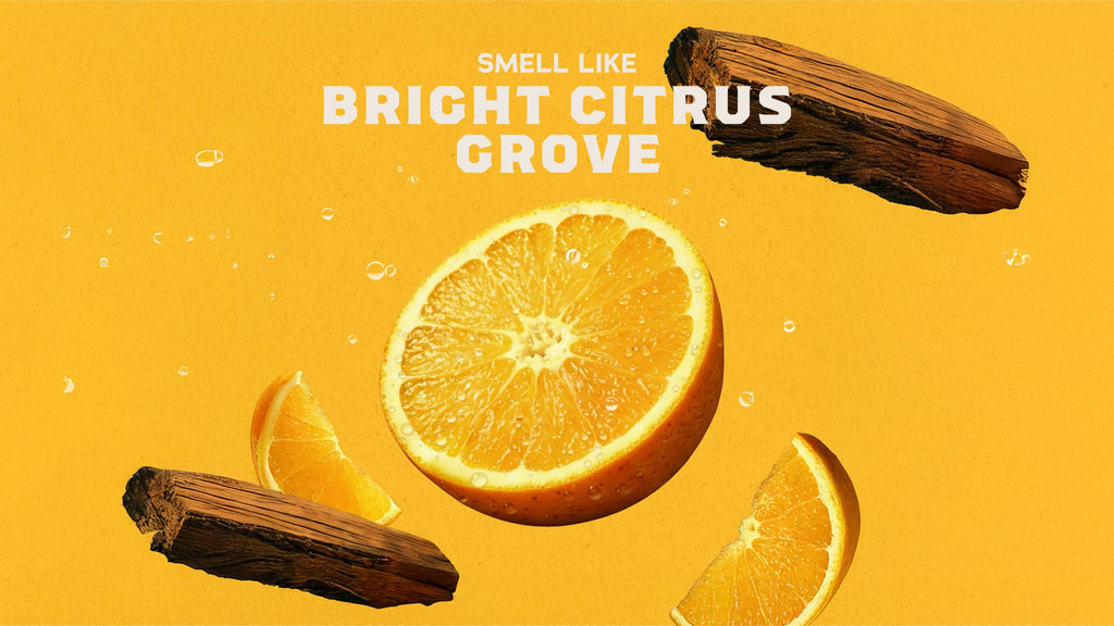 Summer Citrus Conditioner - Wash Better and Smell Better