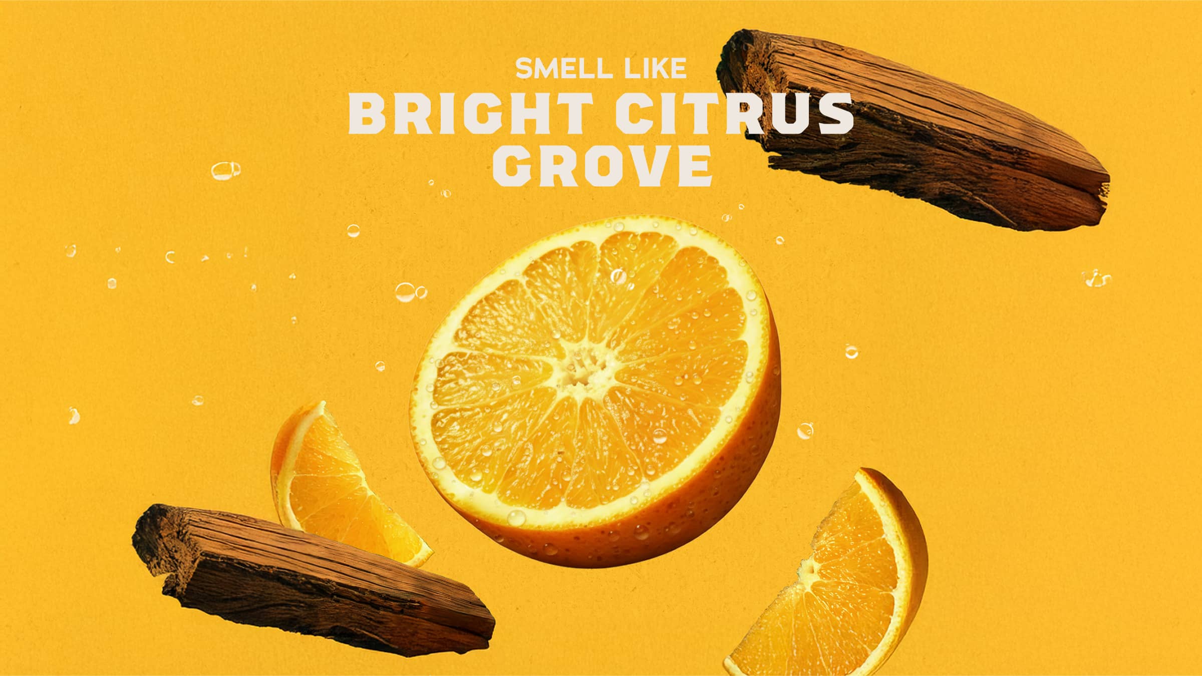 Summer Citrus Invisible Glide Deodorant - Smell Better Every Day