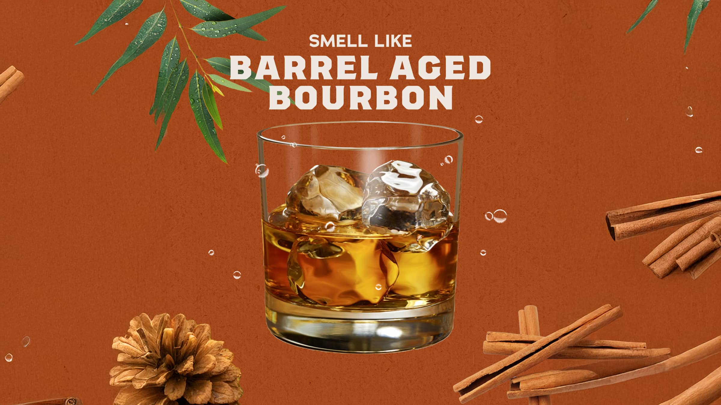 14 oz Wood Barrel Bourbon Exfoliating Body Wash - Fresh Soap for Men